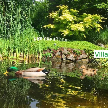 Vila Luxus Emg Nah Muenster, Osnabrueck, Rheine Fuer Familien Gruppen Bis 17 Personen, Pool, Whirlpool, Garten, Kamin, 6sz Emsdetten