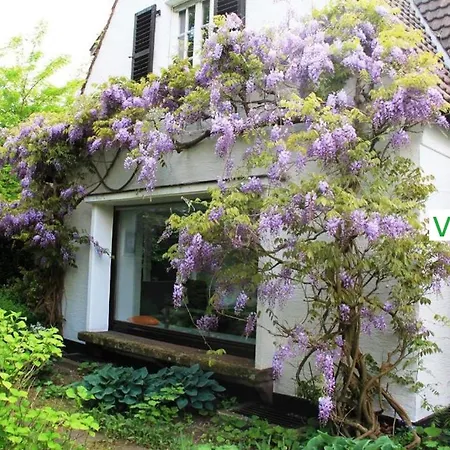 וילה Luxury Family Holidays In Munster *