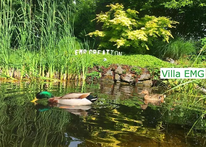 Villa Luxus Emg Nah Muenster, Osnabrueck, Rheine Fuer Familien Gruppen Bis 17 Personen, Pool, Whirlpool, Garten, Kamin, 6sz Emsdetten